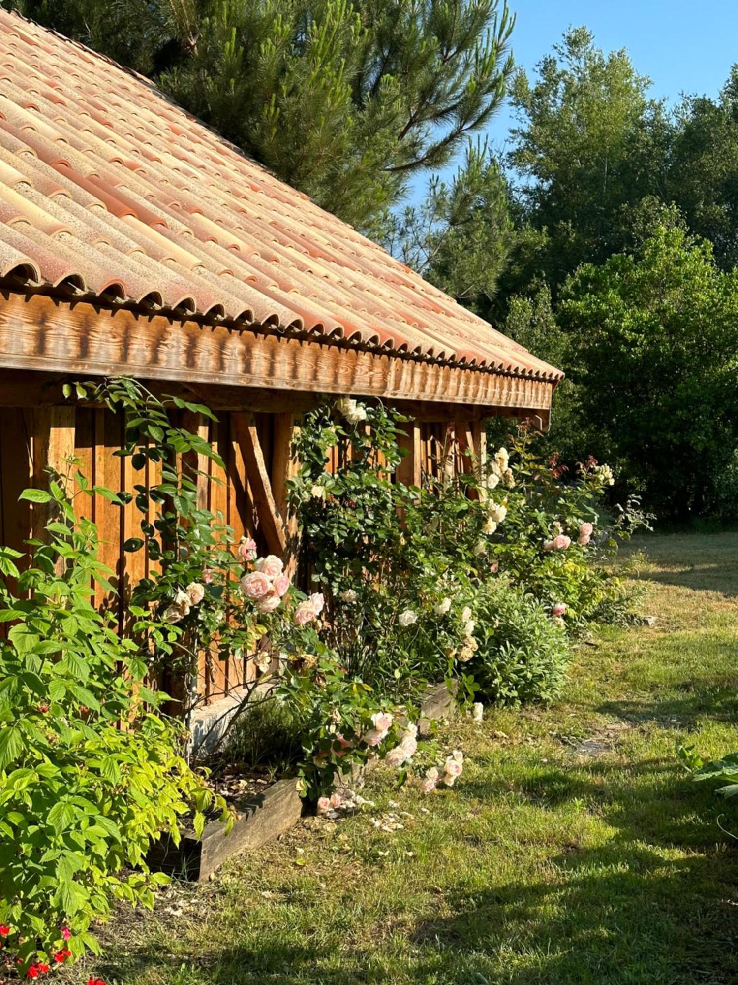Hotel La Ferme Du Miouat Saint-Julien-en-Born Zewnętrze zdjęcie